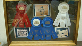 OCSSA Photo Gallery project image for Ron Haigler