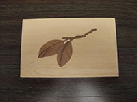 Scrollsaw project byChuck Collins