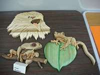 OCSSA Photo Gallery project image for Fred Kemper