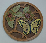 OCSSA Photo Gallery project image for  