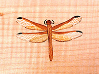 Scrollsaw project byKen Cowell