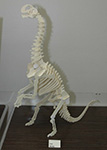 Scrollsaw project byLes Brody