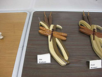 OCSSA Photo Gallery project image for  