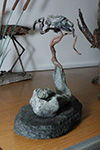 OCSSA Photo Gallery project image for Stan Graves