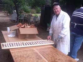 Scrollsaw project byDon Borchardt