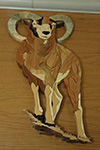 OCSSA Photo Gallery project image for Mike Cook