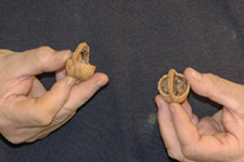 Scrollsaw project by 