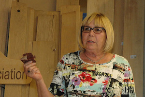 OCSSA Photo Gallery project image for Devon Day