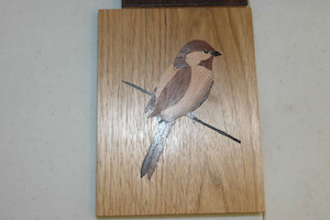 Scrollsaw project byErwin Bragg