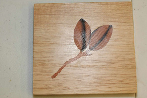 Scrollsaw project byErwin Bragg