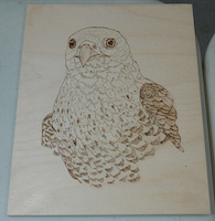 Scrollsaw project byChuck Collins