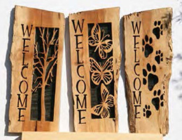 OCSSA Photo Gallery project image for James McGuire