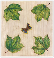 Scrollsaw project byDevon Day
