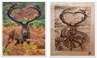 OCSSA Photo Gallery project image for Devon Day