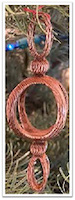 OCSSA Photo Gallery project image for Devon Day
