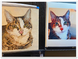 OCSSA Photo Gallery project image for Devon Day