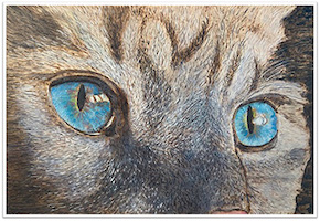 OCSSA Photo Gallery project image for Devon Day