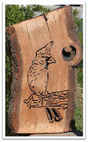 OCSSA Photo Gallery project image for James McGuire