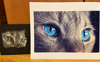 OCSSA Photo Gallery project image for Devon Day