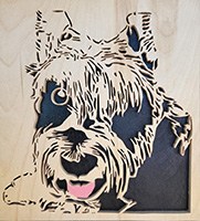 Scrollsaw project byAllan Carter