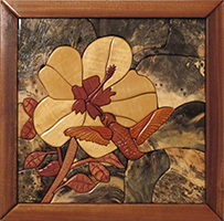 OCSSA Photo Gallery project image for Dan Frembling