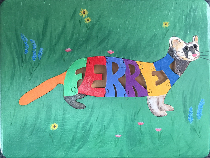 Images of 2019 Toy Workshop Puzzles
