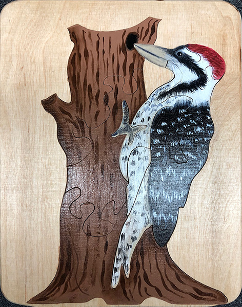 Images of 2019 Toy Workshop Puzzles