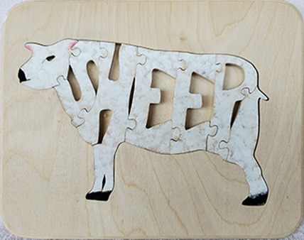 Images of 2019 Toy Workshop Puzzles