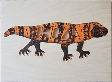 Images of 2019 Toy Workshop Puzzles
