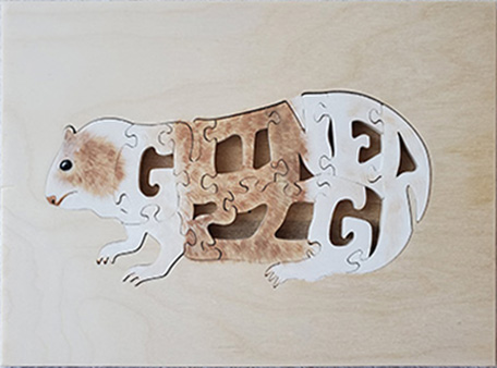 Images of 2019 Toy Workshop Puzzles