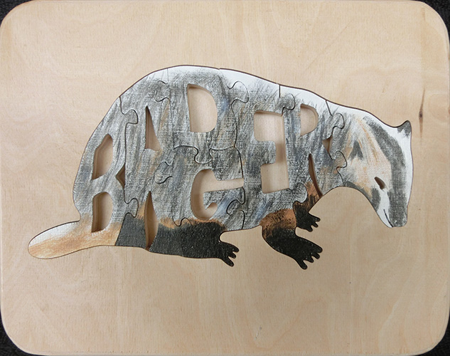 Images of 2019 Toy Workshop Puzzles